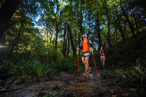 BIB: 
                            <button type="button" onclick="openModal(19229750)" class="btn btn-primary btn-sm float-right btn-popup" data-toggle="modal" data-target=".modal-high-quality">
                        <i class="fas fa-shopping-cart"></i> Add to Cart
                    </button>
                                            <button type="button" onclick="isThisMe(19229750, true)" class="btn btn-success btn-sm float-right btn-popup btn-isme hidden" data-toggle="tooltip" data-placement="bottom" title="นี่คือรูปของคุณใช่ไหม คลิกที่นี่เพื่อเอาเข้าอัลบั้ม">
                        <i class="fas fa-plus"></i> Add to album
                    </button>
                    <button type="button" onclick="isThisMe(19229750, false)" class="btn btn-warning btn-sm float-right btn-popup btn-isnotme hidden">
                        <i class="fas fa-ban"></i> Remove from album
                    </button>